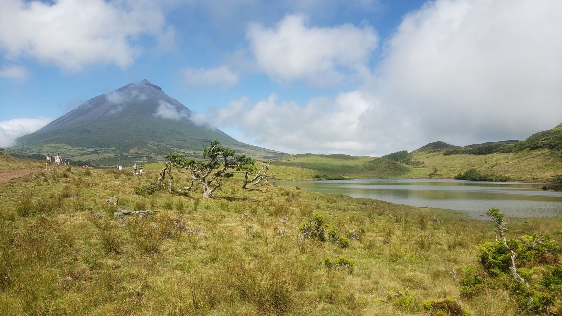 Projeto ExTRAP irá explorar o potencial das turfeiras para reconstruir a história dos vulcões dos Açores  