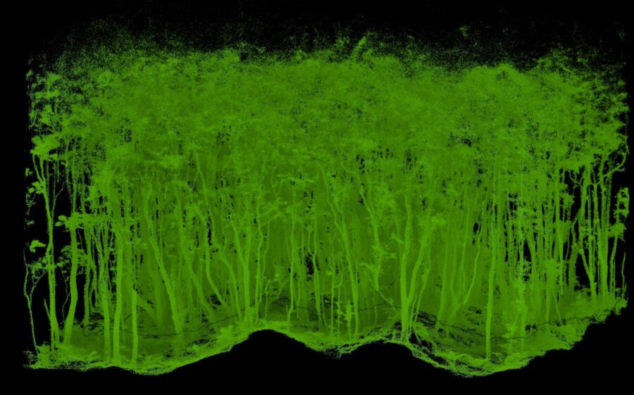 Artigo “Desvendar a complexidade das florestas: como o LiDAR e os drones estão a transformar a investigação sobre os ecossistemas” em destaque na UAciência 