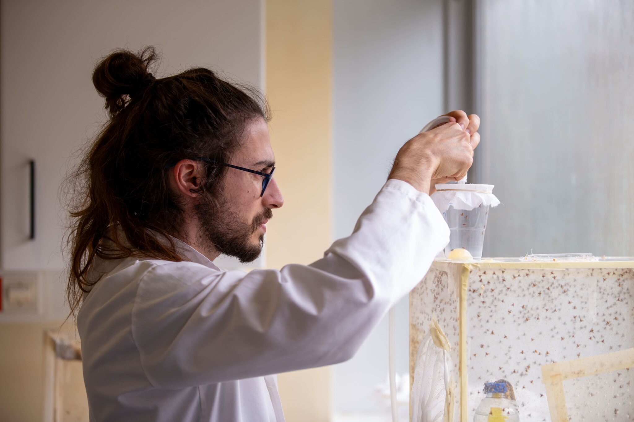 UAc abre concurso para 12 Bolsas de Investigação para Doutoramento 