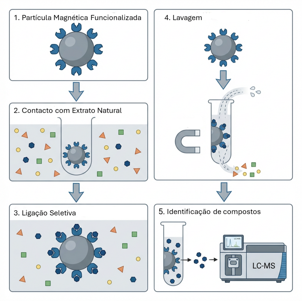 Artigo “Ligand fishing – quando a química aprende a pescar” em destaque na UAciência 
