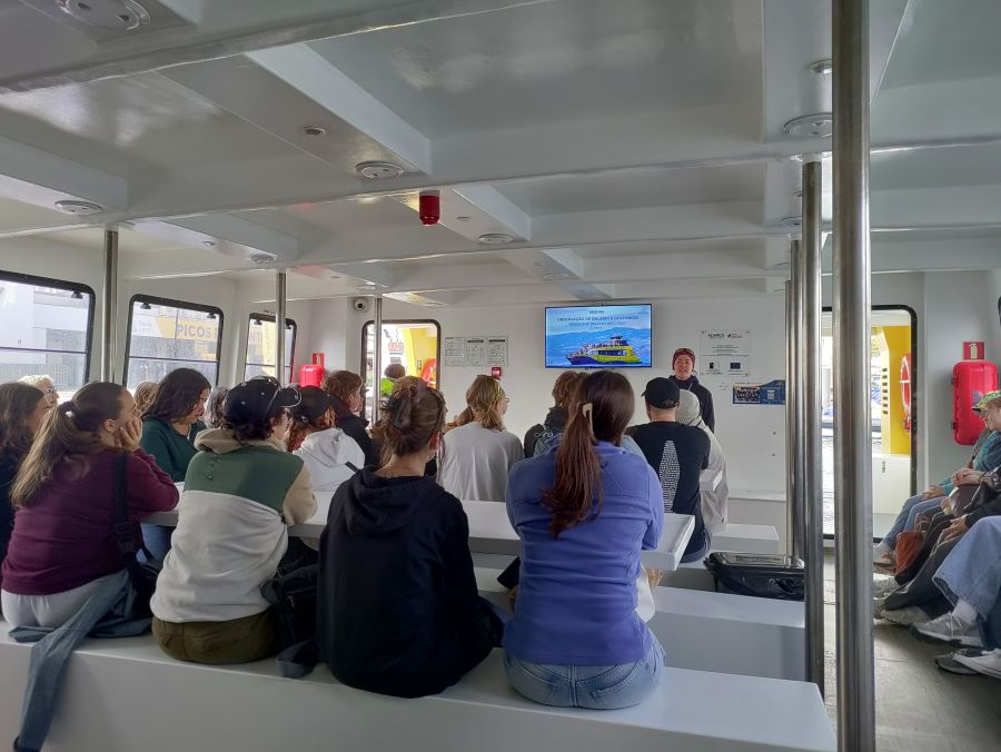 Observação de cetáceos reforça aprendizagem prática de estudantes da UAc