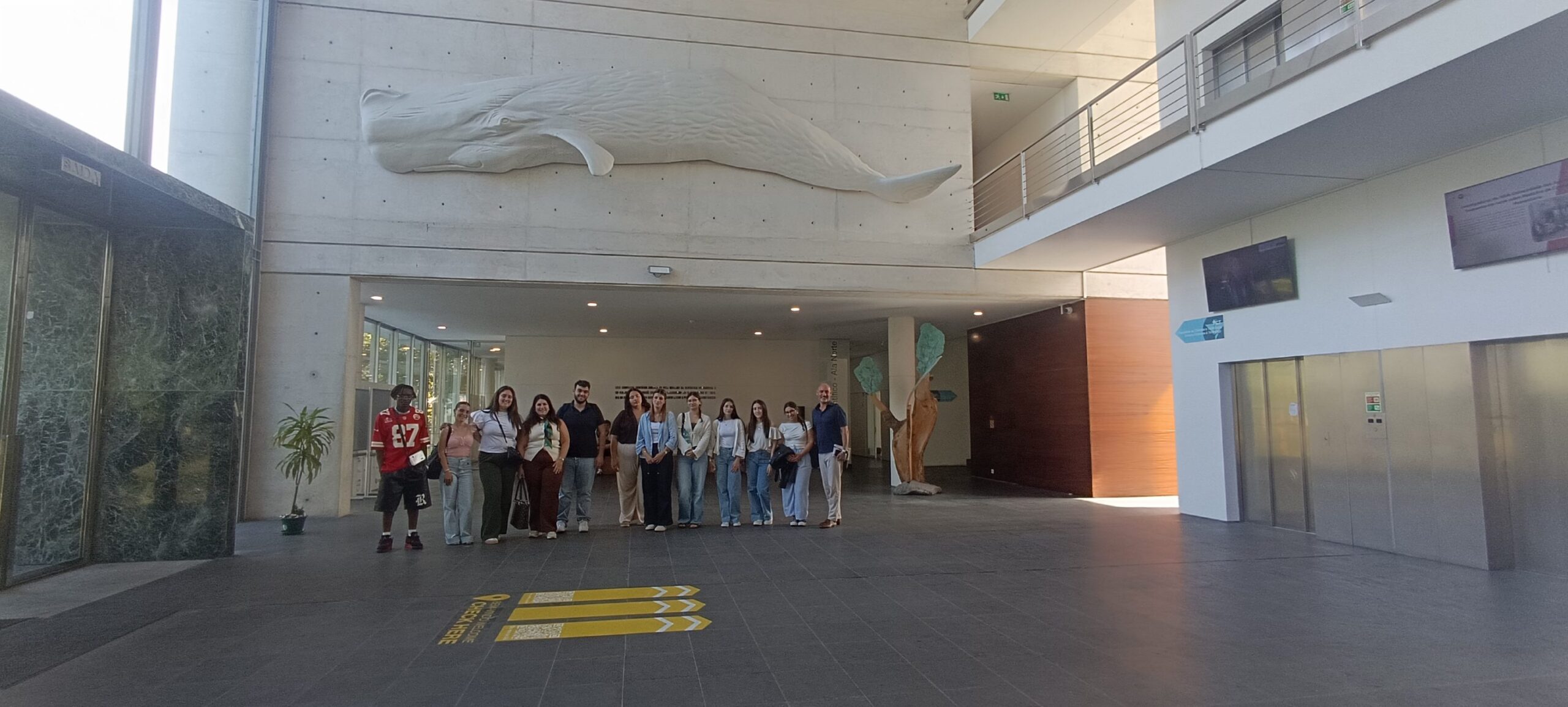 UAc reforça ligação às escolas com visita de estudantes da Ribeira Grande
