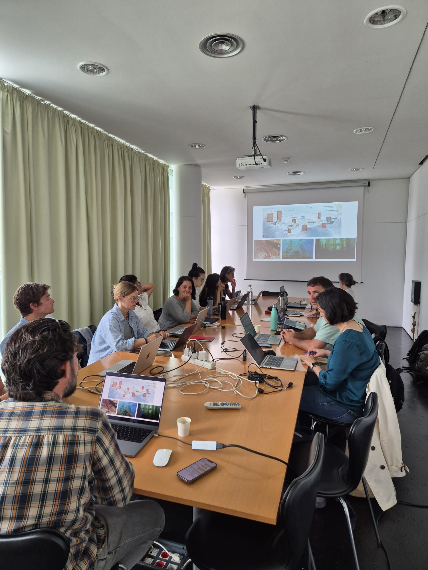 UAc promove workshop internacional sobre planeamento e conservação marinha 