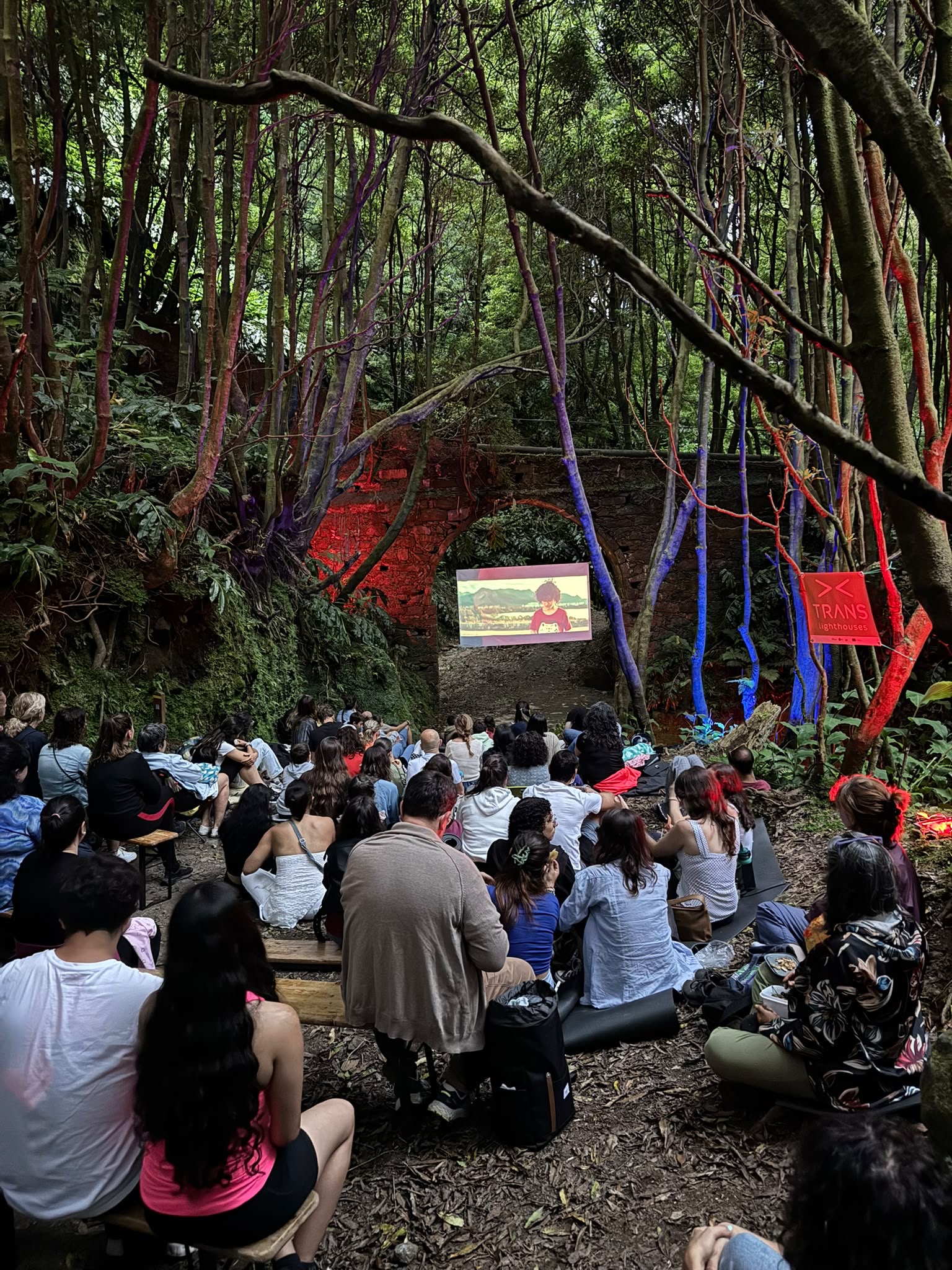 Cinema ambiental na floresta reuniu comunidade em mais uma edição da “Floresta Encantada” 