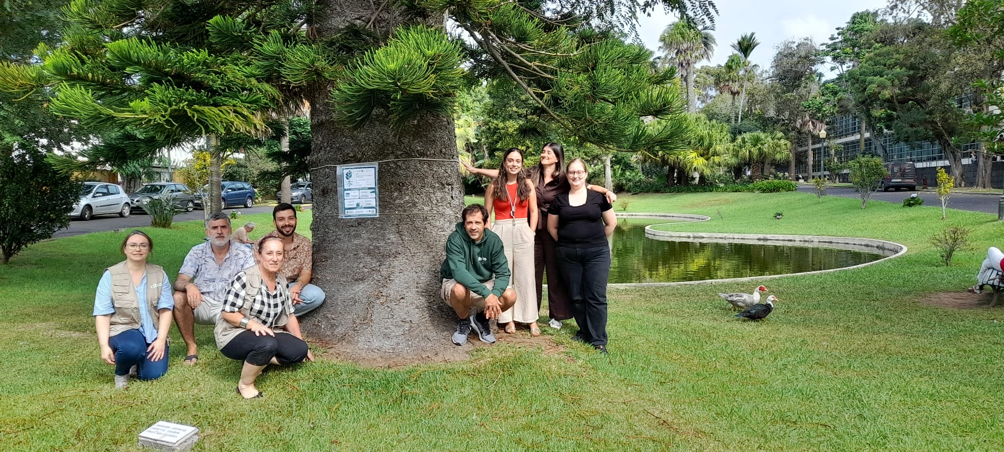 UAc associa-se ao European TreeTag