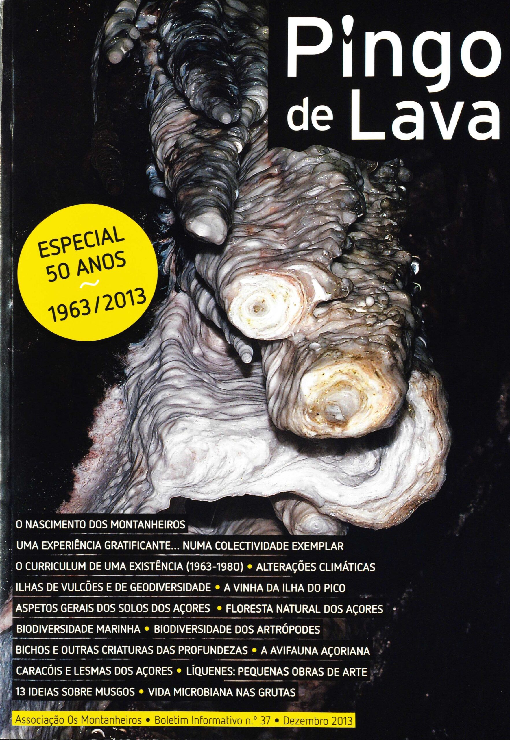pingo de lava 37