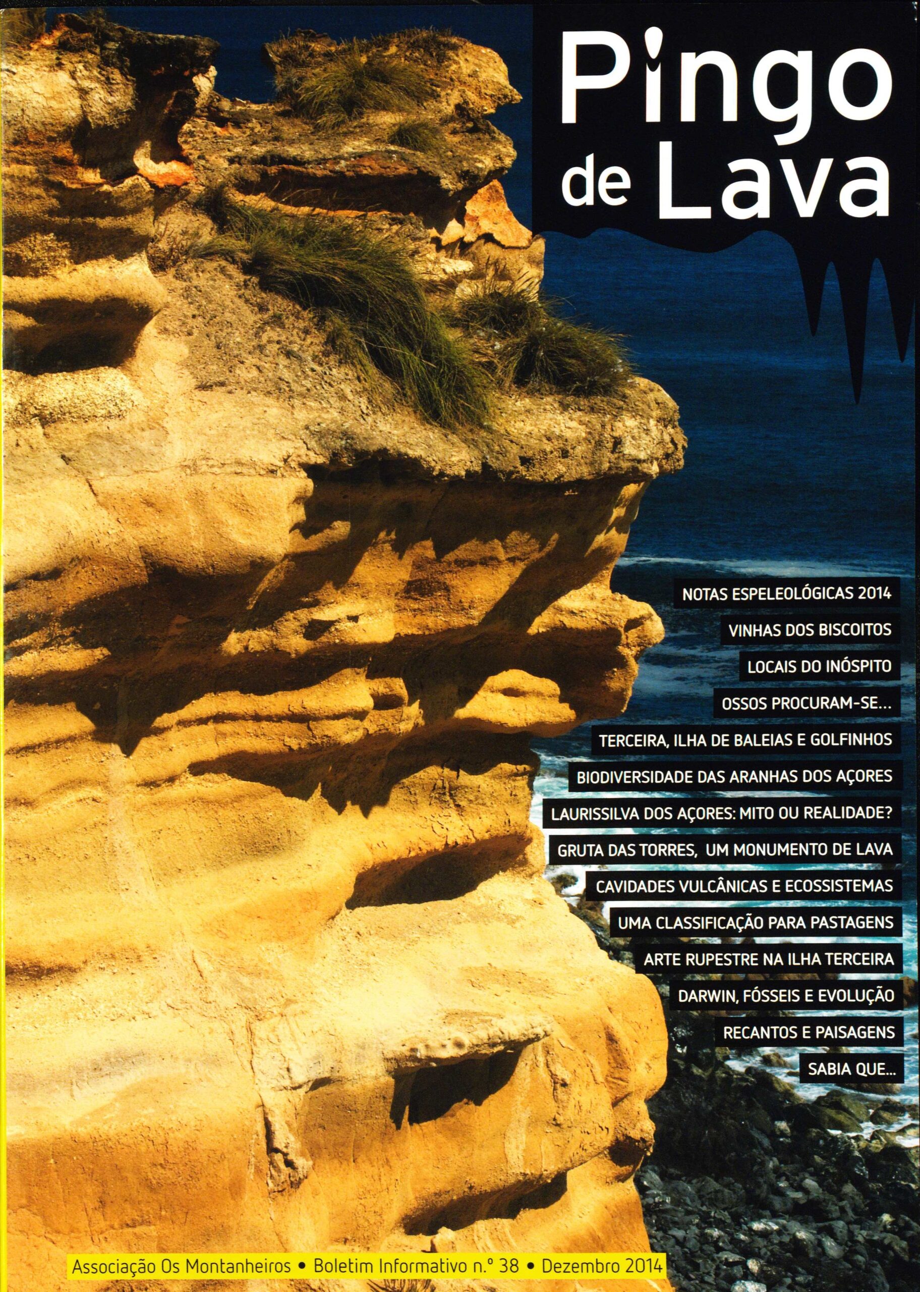 pingo de lava 38