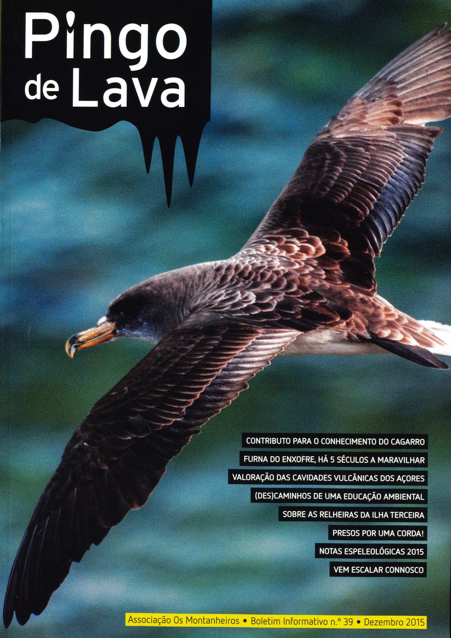 pingo de lava 39