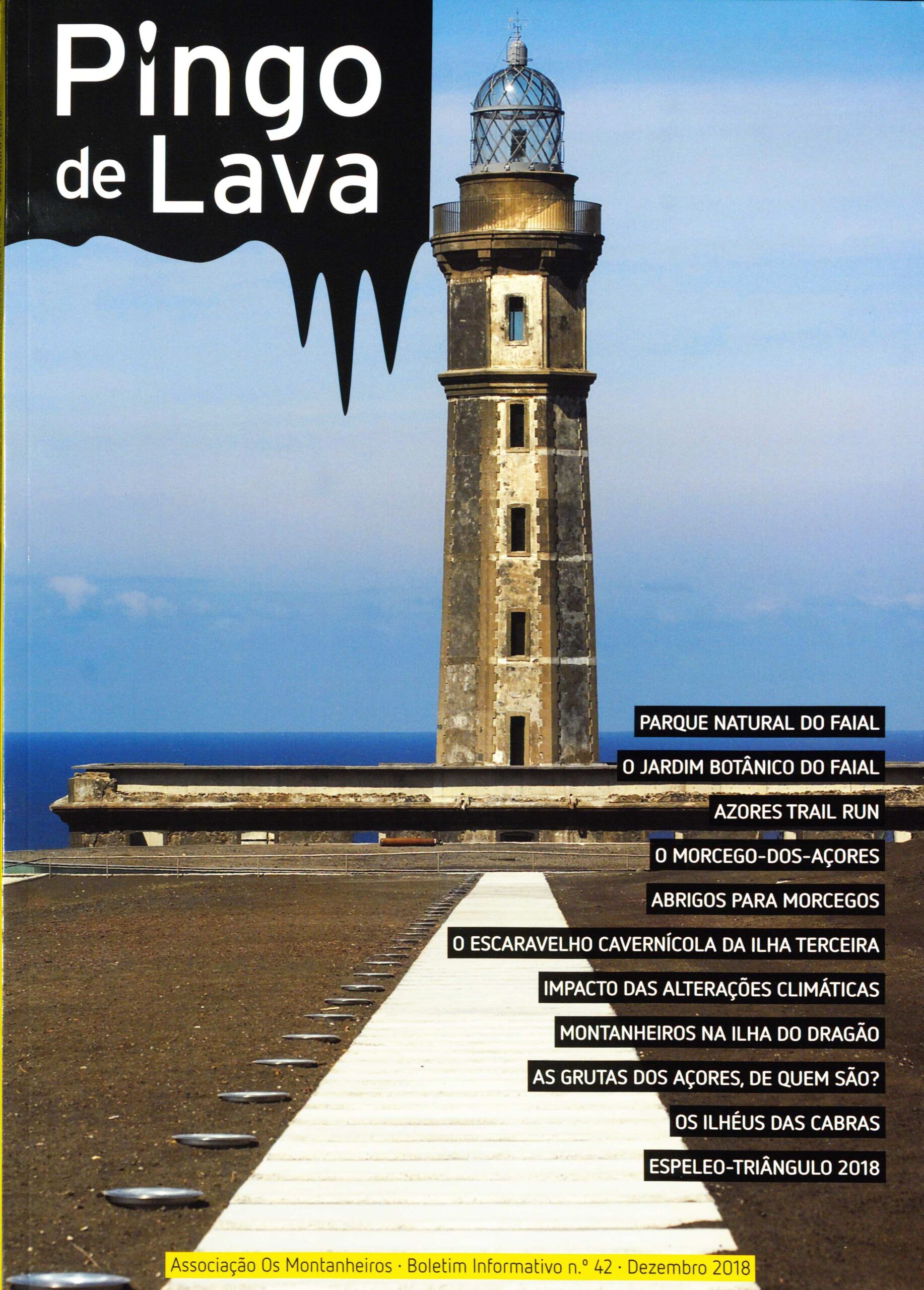 pingo de lava 42