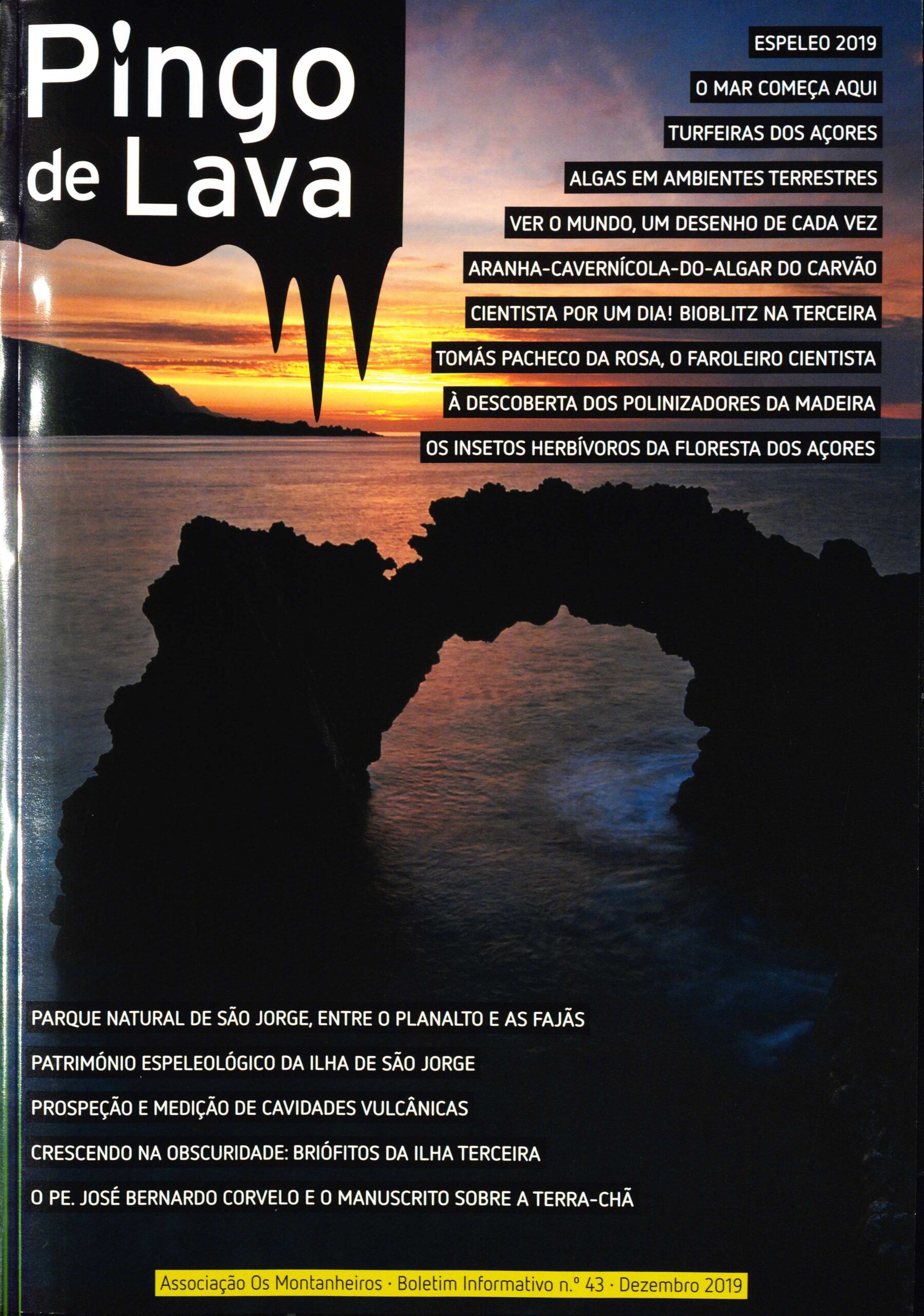 pingo de lava 43