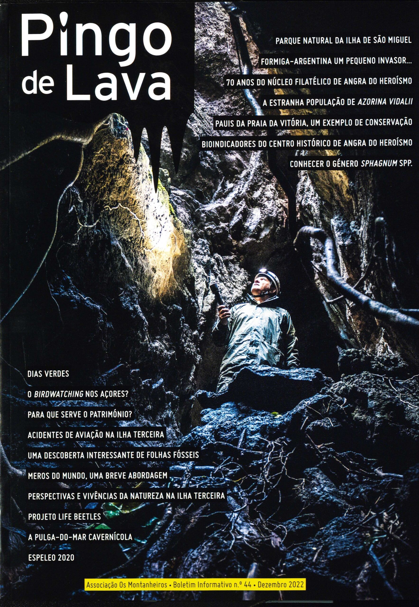 pingo de lava 44